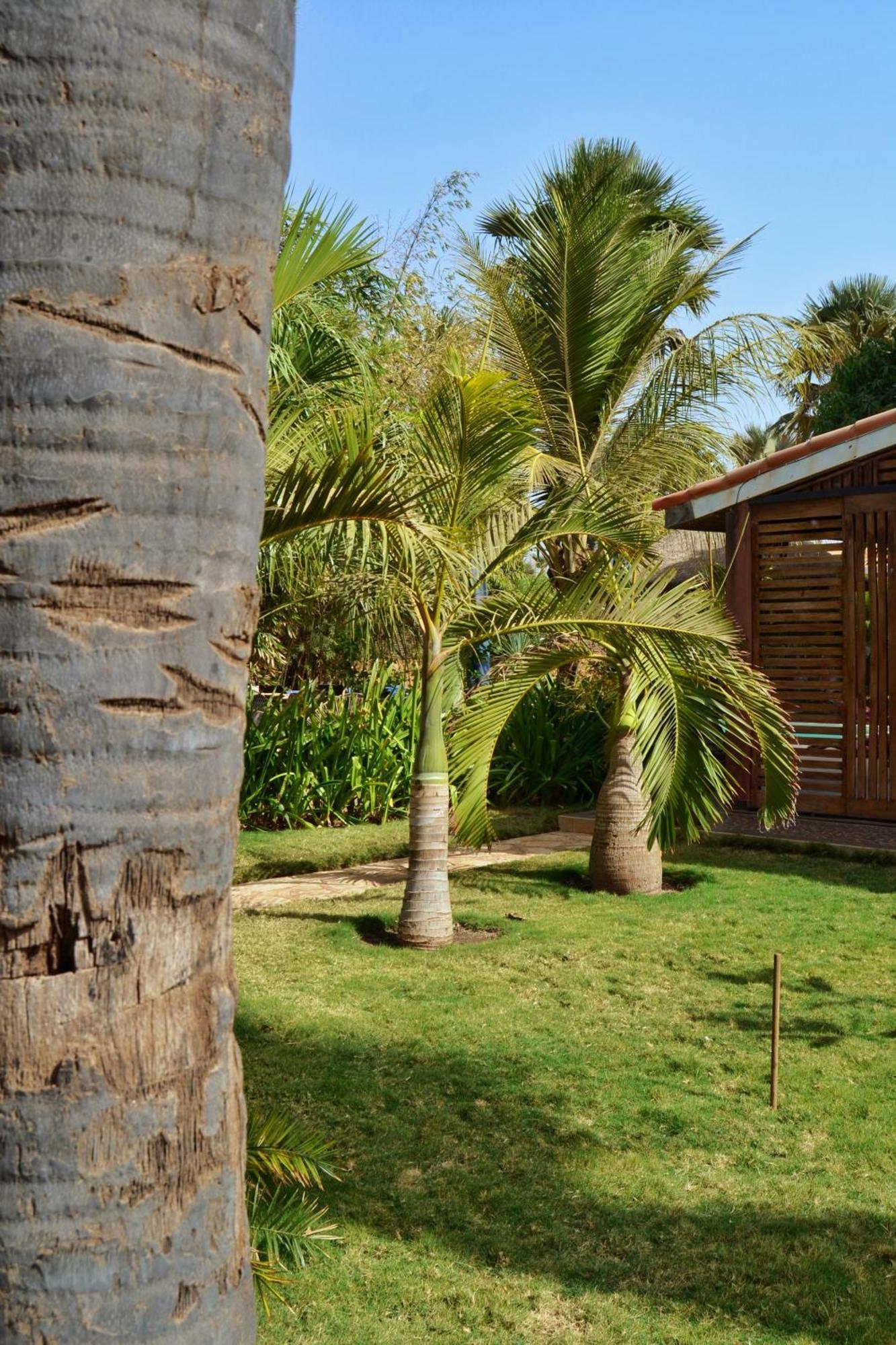 Hotel Keur Palmier Saly Exteriér fotografie